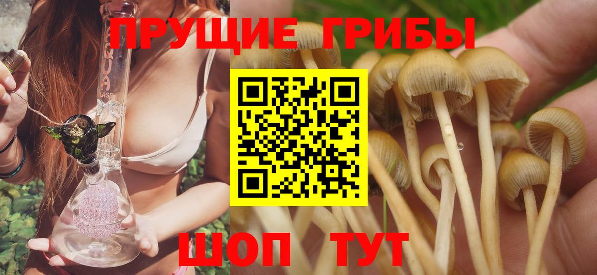 Галлюциногенные грибы MAGIC MUSHROOMS Чехов